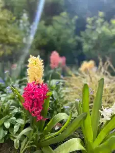 Беларусь - 93