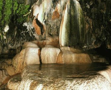 Kirch & Restaurant - 67