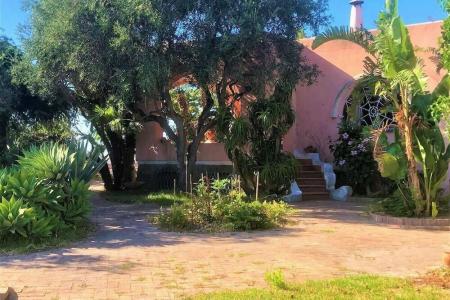 Tenuta Bianca - 2