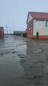 у Татьяны - 5