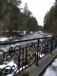 Эдельвейс - 98