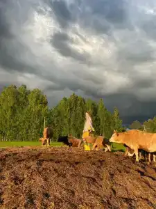 Каникулы на Люнде - 4