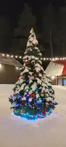 ЛесОК - Домик лесника - 24