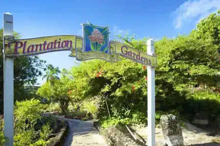 Whalers Cove in Poipu - 4