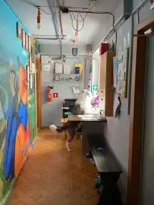 Акка Книбекайзе - 78