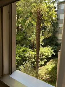 Due Giardini - 15