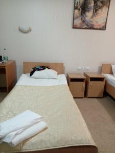 Гостиничный комплекс Алмаз - 44