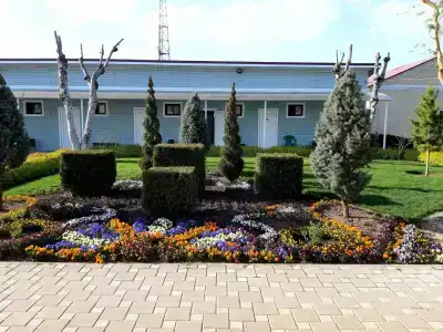 Дом для отпуска у Петровича - 0