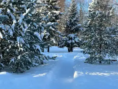 Мон Плезир - Парк - 21