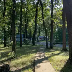Островок - 37