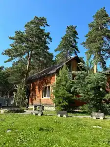 Magic Wood - 38