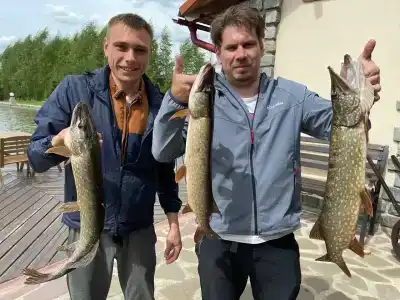 ДоброФиш - 36