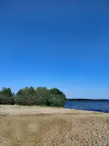 Сосновый бор - 89