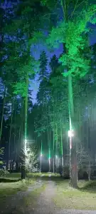 Белые Росы - 7