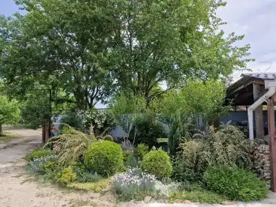 Горный родник - 18