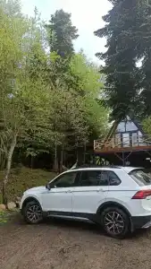 Счастливый лось - 5
