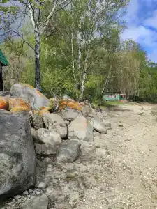 Солнечная Поляна - 77