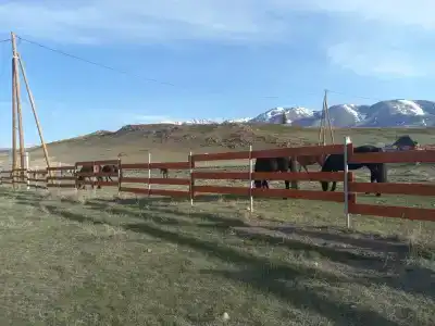 Altay Life Этно - 19