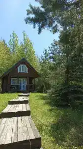 Медвежий угол - 21