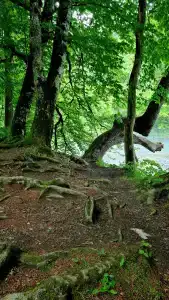 Домики the.small.hill.house - 33