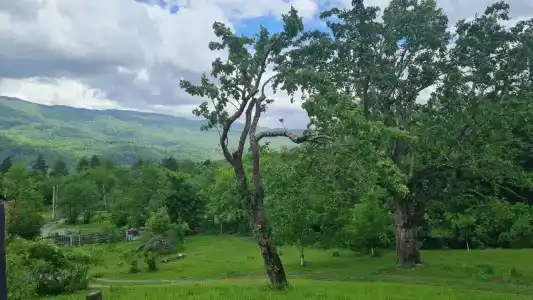 Домики the.small.hill.house - 10