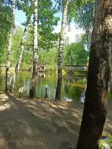 Берлога в Медвежьих Озерах - 23