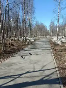 Огни города - 7