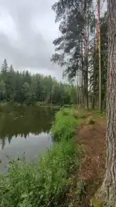 Железинка - 31
