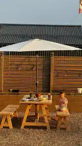 Дубль Дача - 16