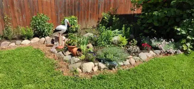 Витальница - 7