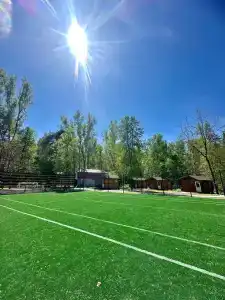 Подберёзовик - 22
