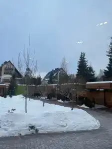 Гости - 29