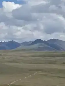 Altay Steppe - 9