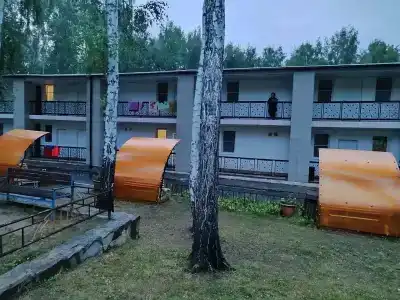 Берёзка - 9