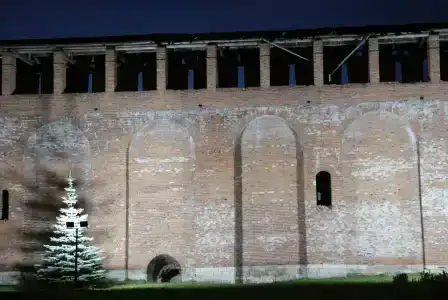 Борок - 29