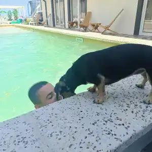 Жемчужина - 51