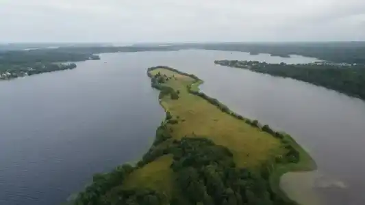 Зайкина дача - 42