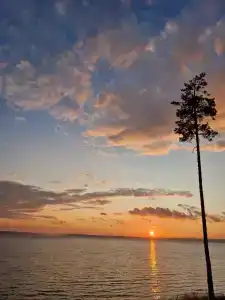 Разгуляево - 54