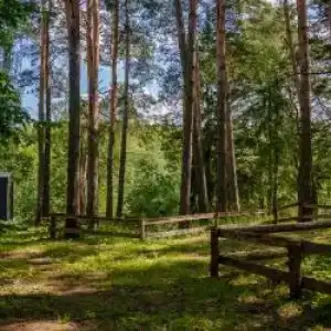 Лесной Привал - 58