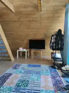 Ильинка лес - 36