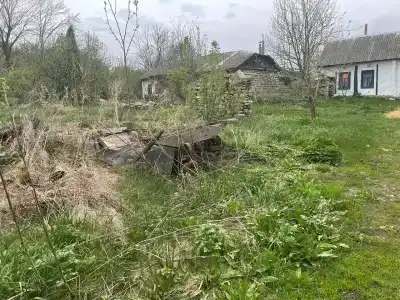 Старая мельница - 38