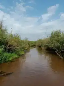 Дубки-В гостях у сказки - 88