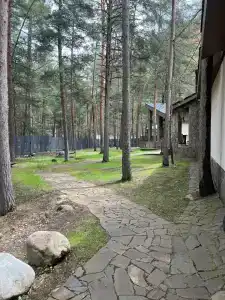 Наедине с Эльбрусом - 26