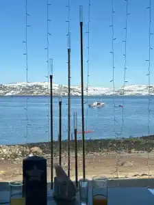 Cedar Grass Териберка - 34