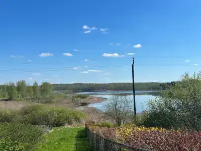 Пенеснарь - 3