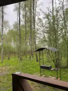 Лесная дача - 22
