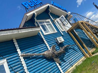 Рыба-пила - 10