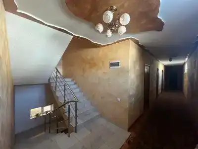 Поло - 3