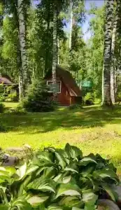 Романтик - 36