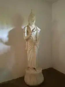 Occidental Eden Beruwala - 28